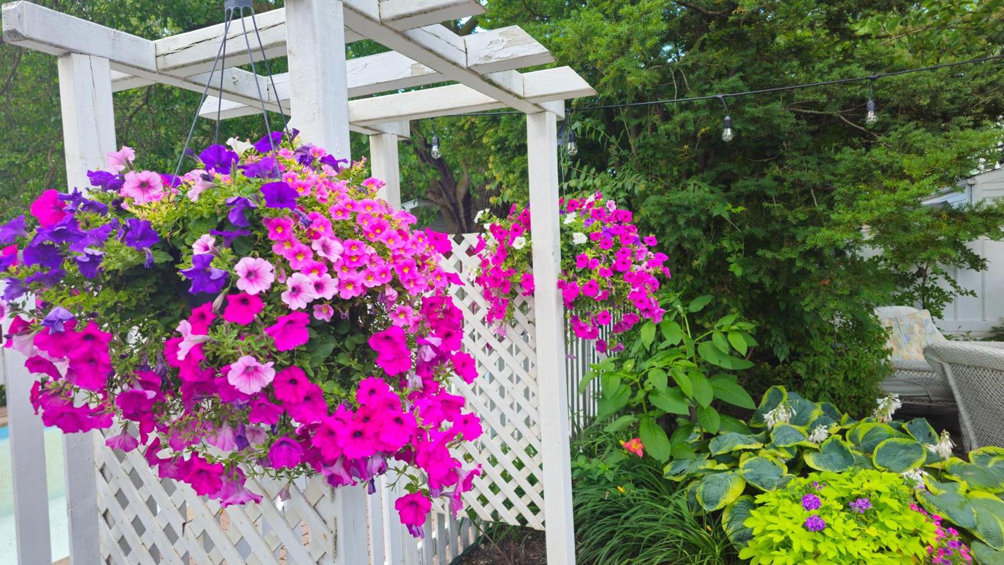 Historic Wilson-Guy House Bed & Breakfast Niagara-on-the-Lake Exterior photo